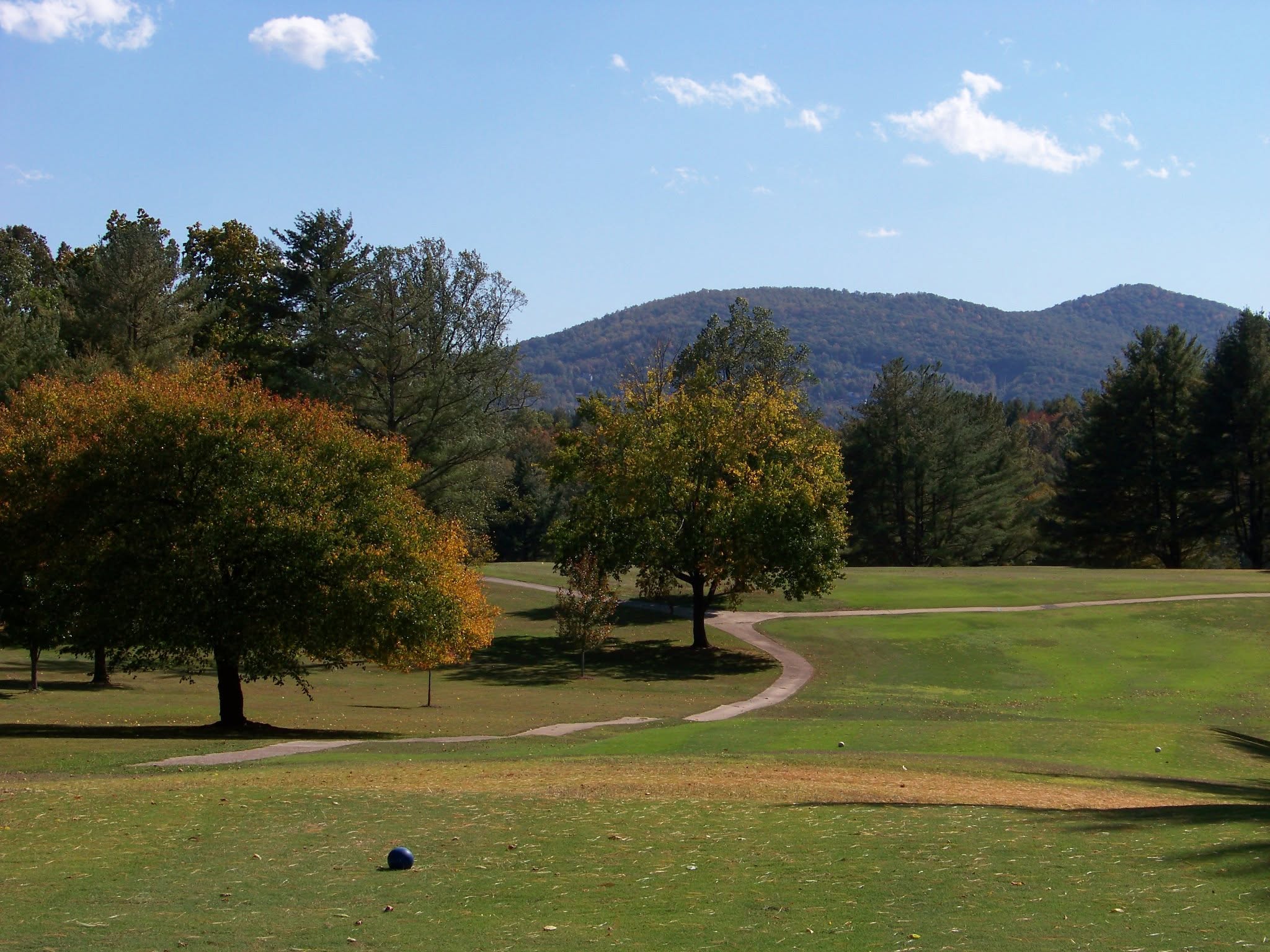 Trees near cart path on golf course