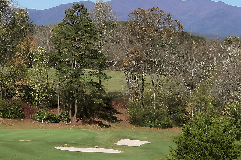 Trees on golf course
