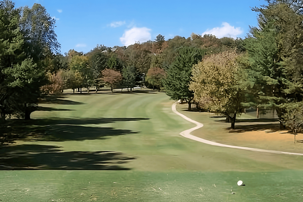 Golf course fairway lined with trees